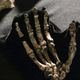 Image for article titled These are Our Picks for the Top Science Stories of 2015